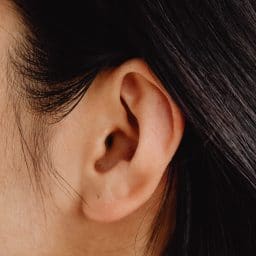 Close up of ear.